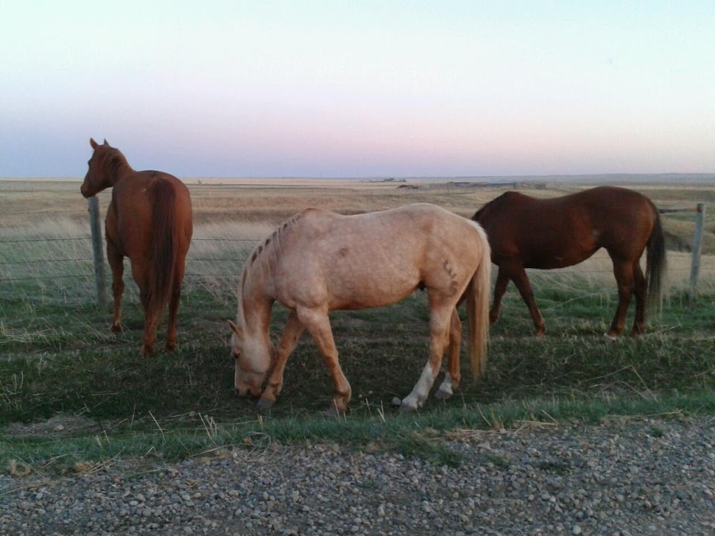 Farm Safety Centre | 265 E 400 S, Raymond, AB T0K 2S0, Canada | Phone: (403) 752-4585