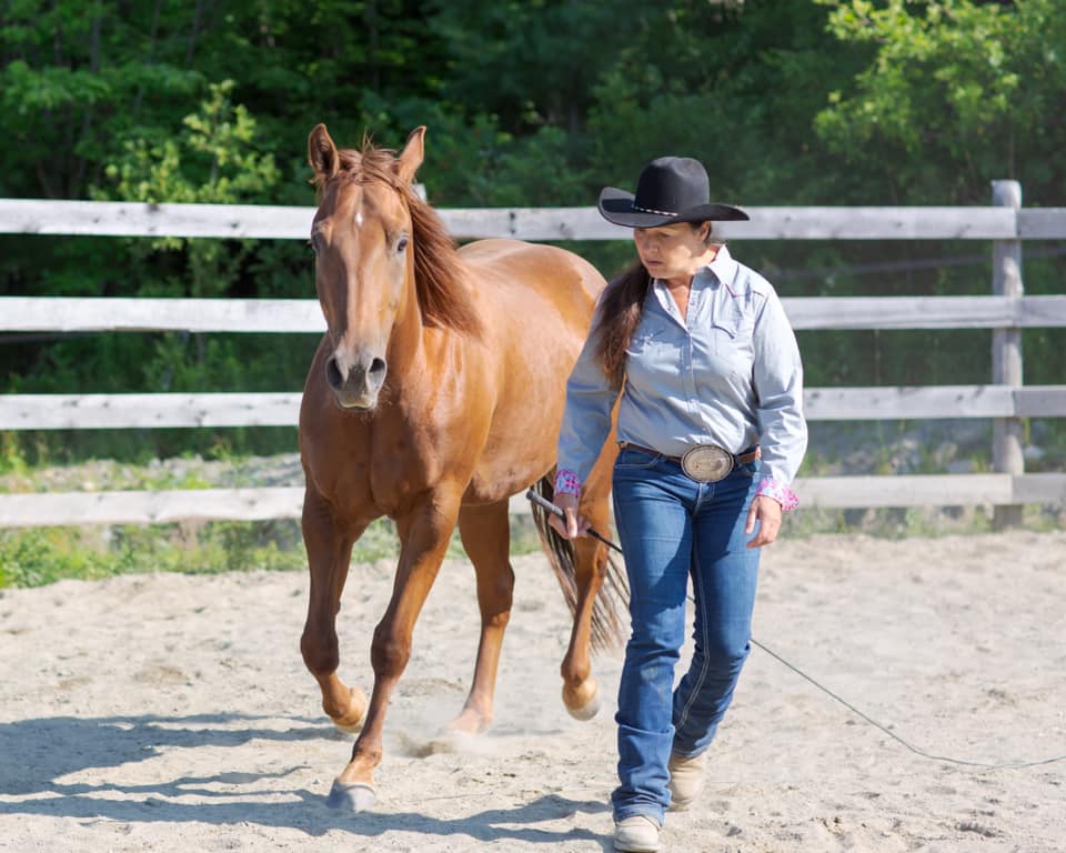 School Edith Ducharme Horsemanship | 85 Rue Ducharme, Orford, QC J1X 6W6, Canada | Phone: (819) 679-2137