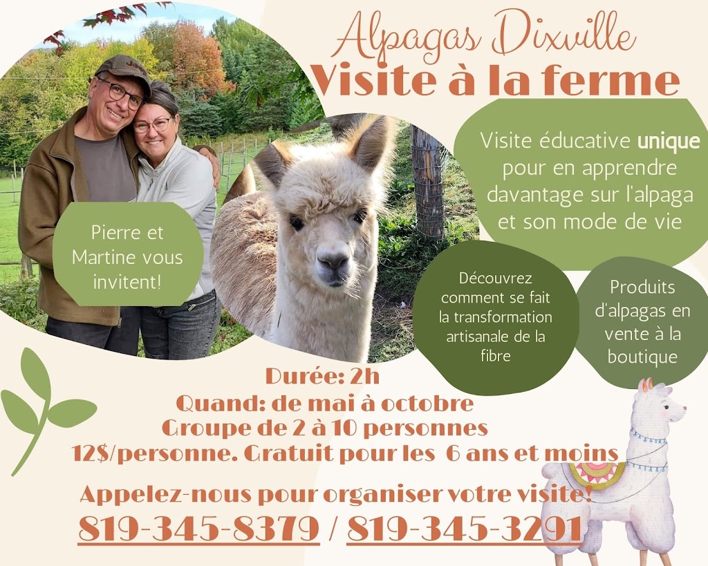 Alpagas-Dixville du Domaine Pimanouk | 265 Chem. Dupont, Dixville, QC J0B 1P0, Canada | Phone: (819) 345-8379