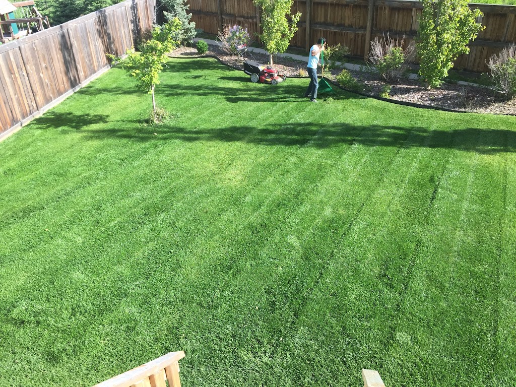 Verde Grass lawn and snow LTD | 9 Valley Ponds Crescent NW, Calgary, AB T3B 5T4, Canada | Phone: (587) 998-2543