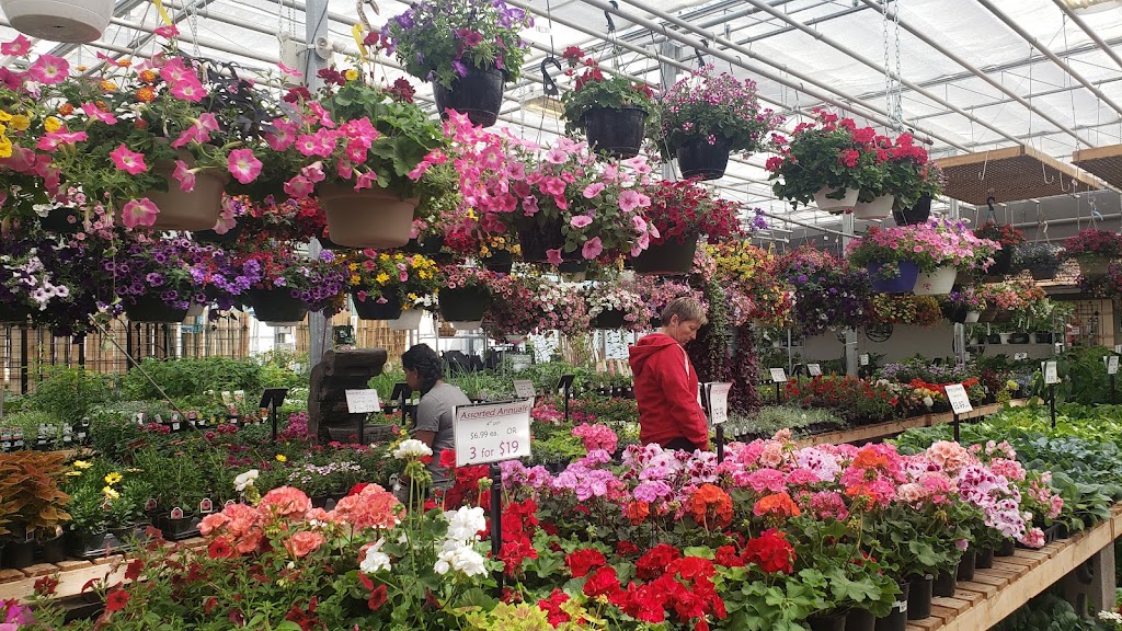 Bow Valley Garden Centre | 60 Lincoln Park, Canmore, AB T1W 3E9, Canada | Phone: (403) 675-0701