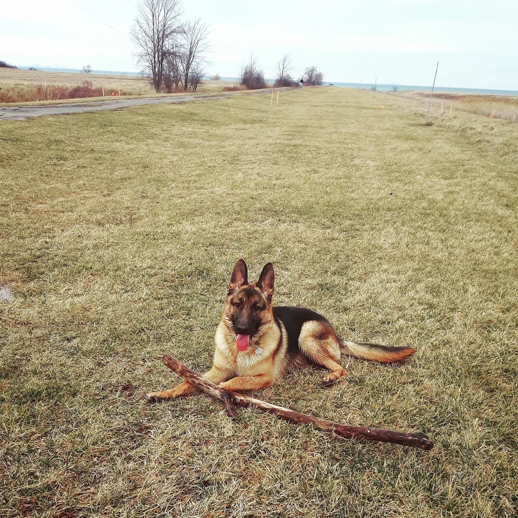 Oakes Road North Leash-Free Dog Park | Oakes Rd N, Grimsby, ON L3M, Canada