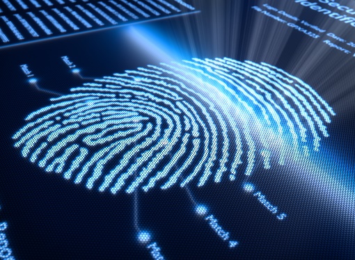 Roots Fingerprinting Services-RCMP-Accredited | 15 Fandor Way Unit 201 Second Floor, Brampton, ON L7A 4S2, Canada | Phone: (647) 948-8844