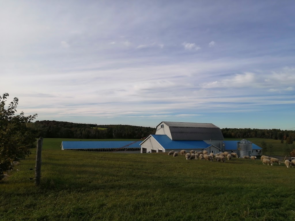 Ferme ViGo | 12 6e Rang, St-ONÉSIME, QC G0R 3W0, Canada | Phone: (418) 856-2082