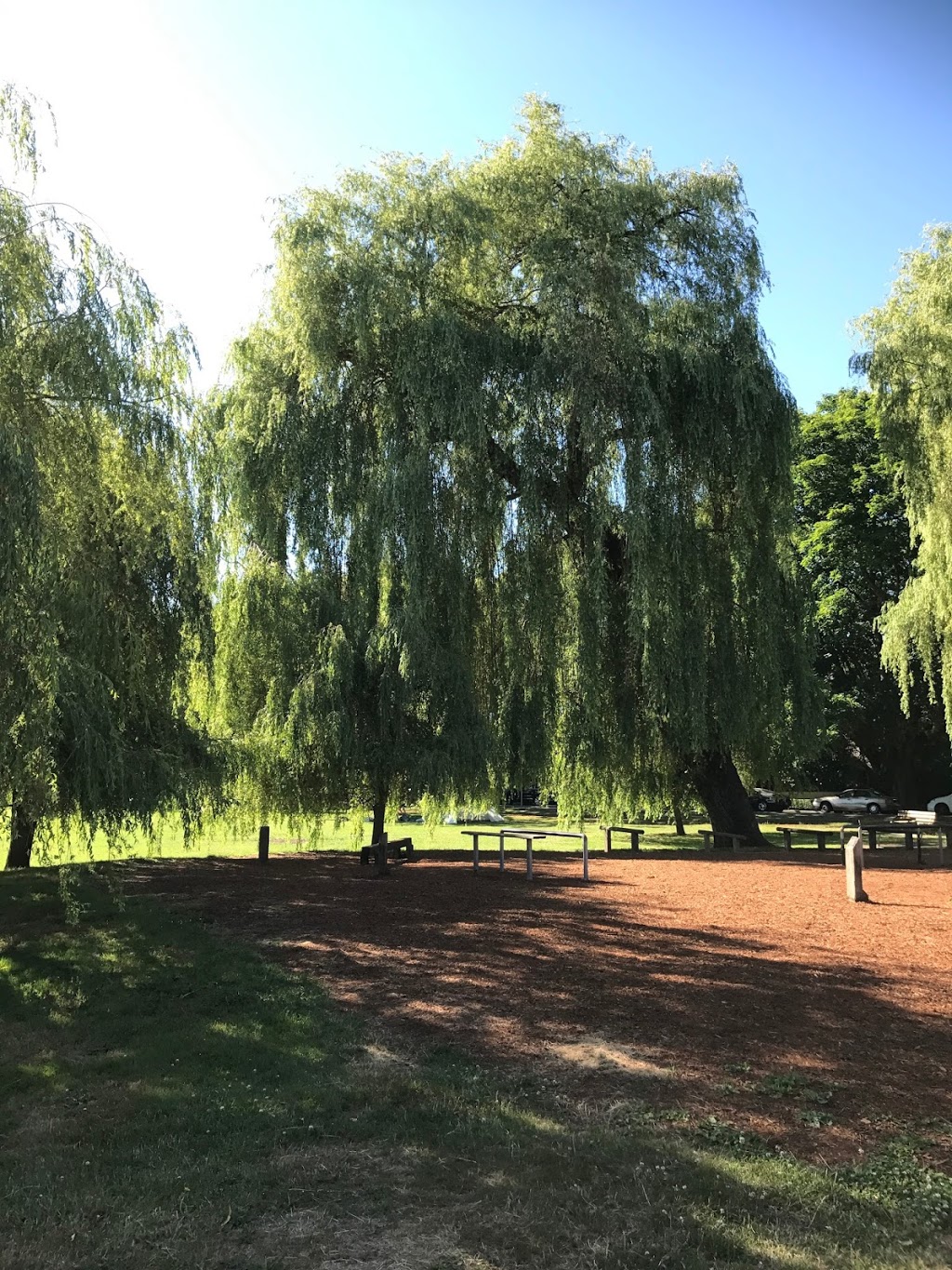 Outdoor Fitness Circuit @ Douglas Park | 794 W 20th Ave, Vancouver, BC V5Z 1Y2, Canada