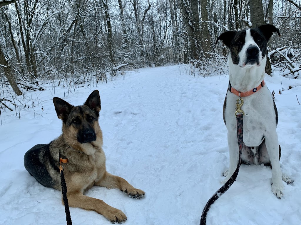 Promenade de chiens Saint-Basile | 1540 Bd du Millénaire, Saint-Basile-le-Grand, QC J3N 1X3, Canada | Phone: (450) 881-2150