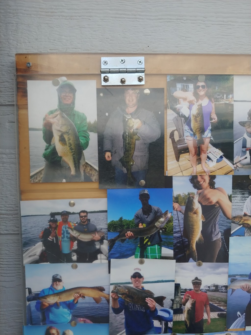 Smith & Sons Bait & Tackle | 3211 Hwy 36 South, Bobcaygeon, ON K0M 1A0, Canada | Phone: (705) 738-5743