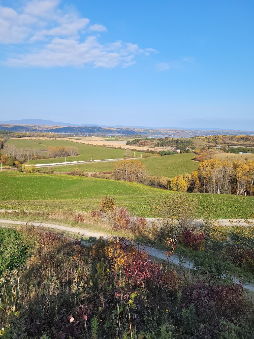 Plateforme bioalimentaire boréale Solidar | 1888 Rang St Joseph, Chicoutimi, QC G7H 5A7, Canada | Phone: (581) 447-7057