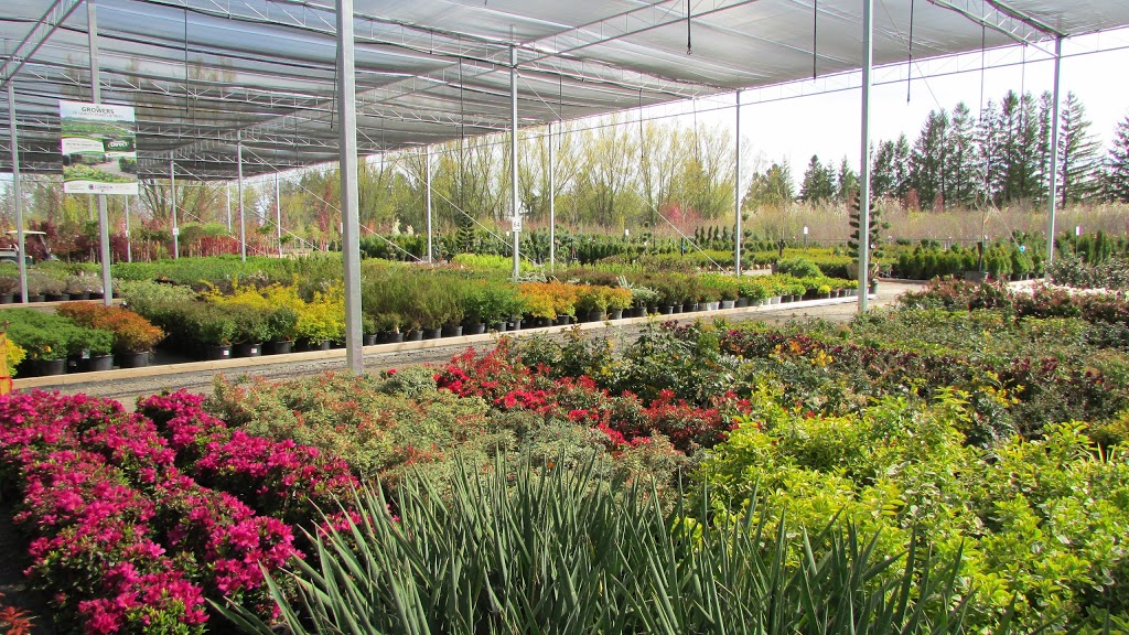 Connon Nurseries | 656 Robson Rd, Waterdown, ON L0R 2H1, Canada | Phone: (905) 689-7433