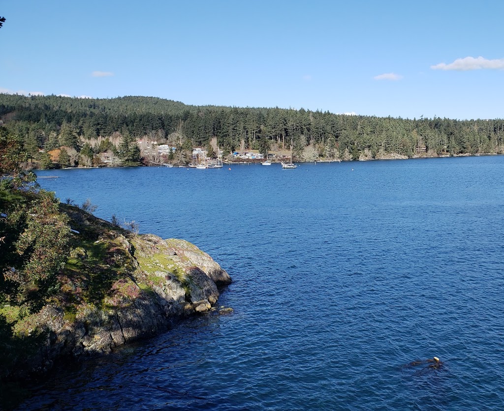 Creyke Point | East, Roche Cove Regional Park - Parking Lot, Galloping Goose Trail, Sooke, BC V9Z 0Z3, Canada