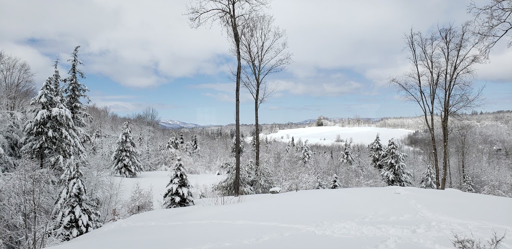 le châlet de Jeannot | 47 Chemin Spring Hill, Knowlton, QC J0E 1V0, Canada