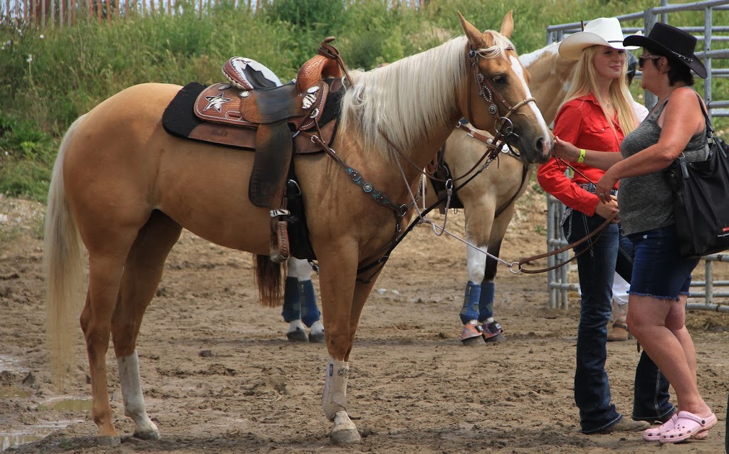 Grand Valley Agricultural Society | 60 Main St N, Grand Valley, ON L9W 5S7, Canada | Phone: (226) 979-3724