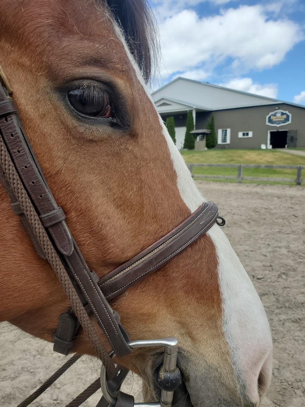 Allardyce Farm/Hemmingford Equestrian Center | 459 Chem. Lavallée, Hemmingford, QC J0L 1H0, Canada | Phone: (514) 238-9787