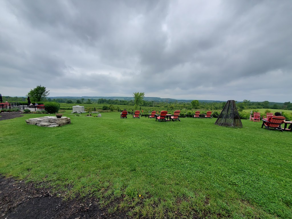 Coffin Ridge Vineyard & Winery | 599448 Concession Rd 2 N, Annan, ON N0H 1B0, Canada | Phone: (519) 371-9565