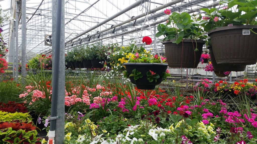 Nature lovers greenhouses | 906 RR 20, Fenwick, ON L0S 1C0, Canada | Phone: (647) 964-3748