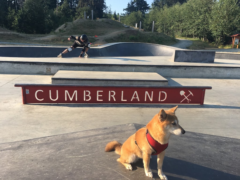 Cumberland Skate Park | 6 St, Cumberland, BC V0R 1S0, Canada | Phone: (250) 336-2291