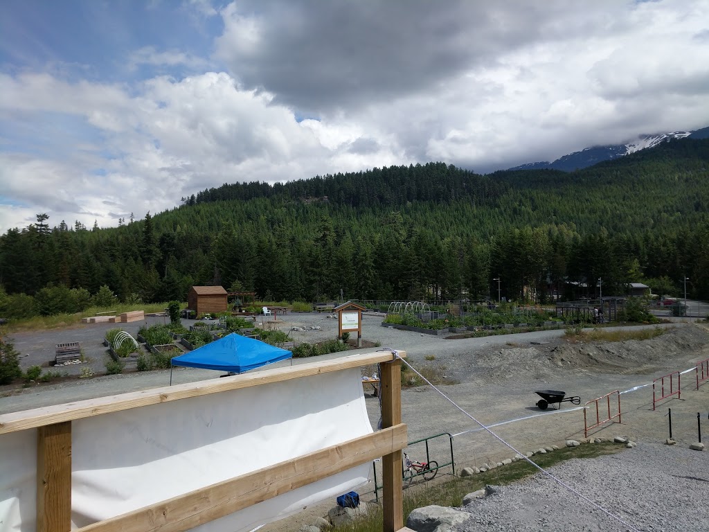 Whistler BMX Club | Bayly Park, 1000 Legacy Way, Whistler, BC V0N 1B1, Canada | Phone: (604) 902-0118