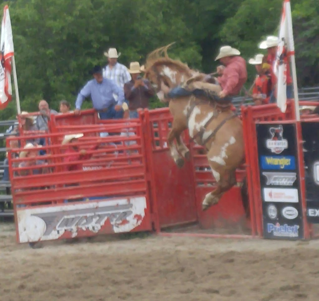 Roseneath Pro Rodeo | 9059-9123 45, Roseneath, ON K0K 2X0, Canada | Phone: (905) 352-3778