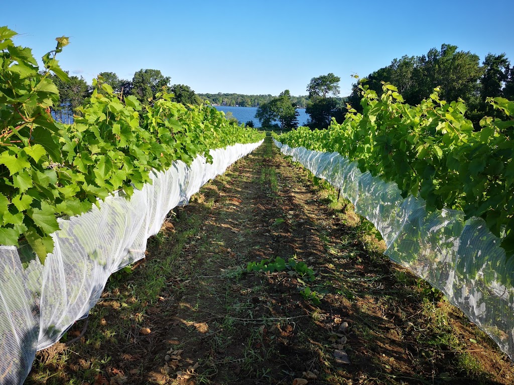 Longrid Estates Vineyards & Winery | 10941 Loyalist Pkwy, Adolphustown, ON K0H 1G0, Canada | Phone: (613) 707-4591