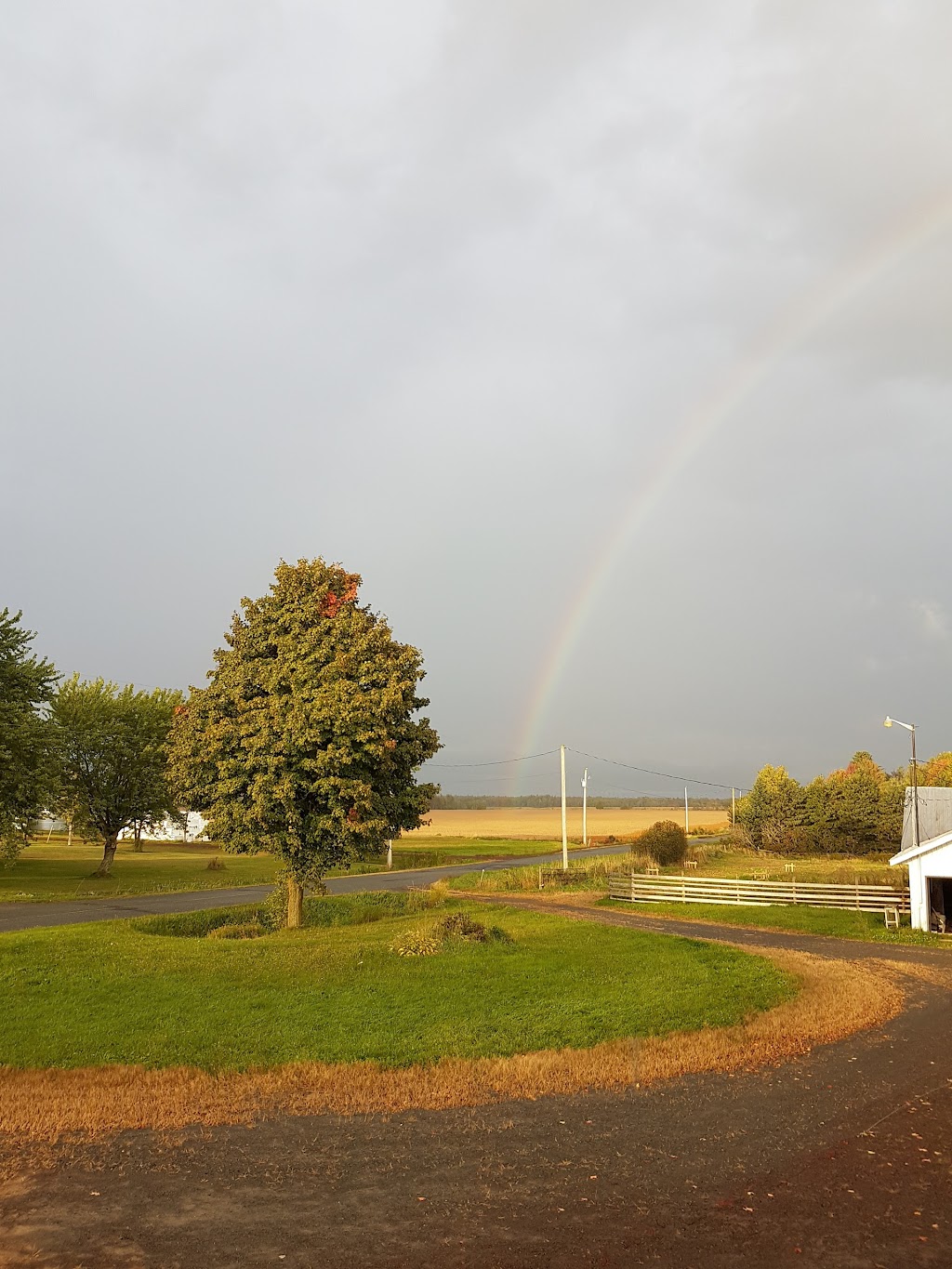 La ferme des Korrigans | 1570 7e Rang O, Princeville, QC G6L 4C3, Canada | Phone: (819) 809-0198