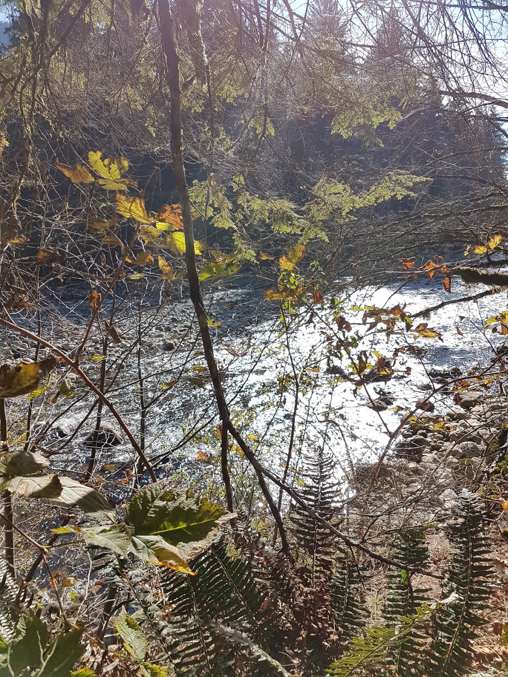 Fishermans trail | Spur 4, North Vancouver, BC V7J, Canada