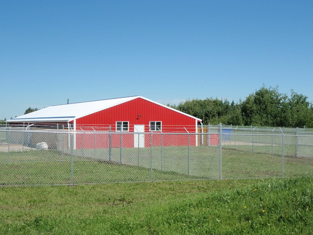 Cowboy Trail Kennels | 42021 Township Rd 274, Alberta T4C 2X8, Canada | Phone: (403) 851-0888