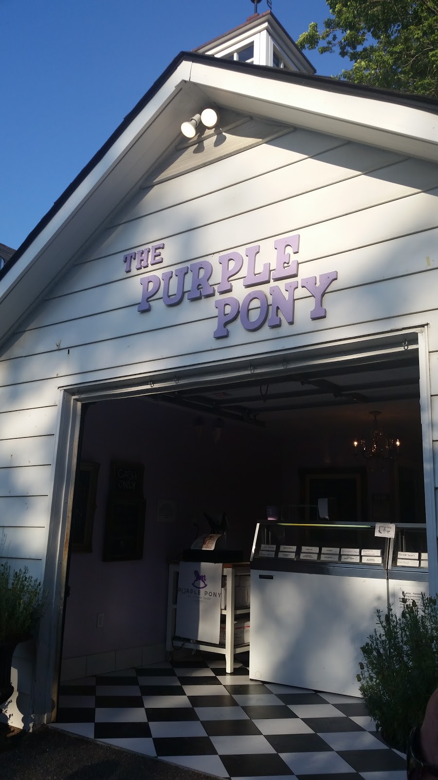 The Purple Pony Ice Cream Shop | 346 Wilson St E, Ancaster, ON L9G 2C2, Canada | Phone: (905) 928-1110