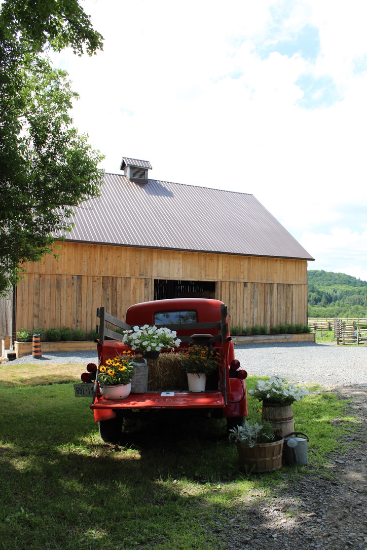 The Peca Farm | 1288 N Mary Lake Rd, Huntsville, ON P1H 2J3, Canada | Phone: (705) 349-3493