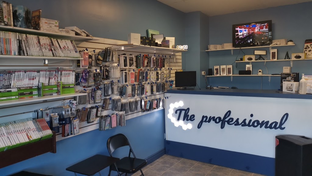 The Professional | 1153 Lauzon Rd, Windsor, ON N8S 3M9, Canada | Phone: (519) 999-1120