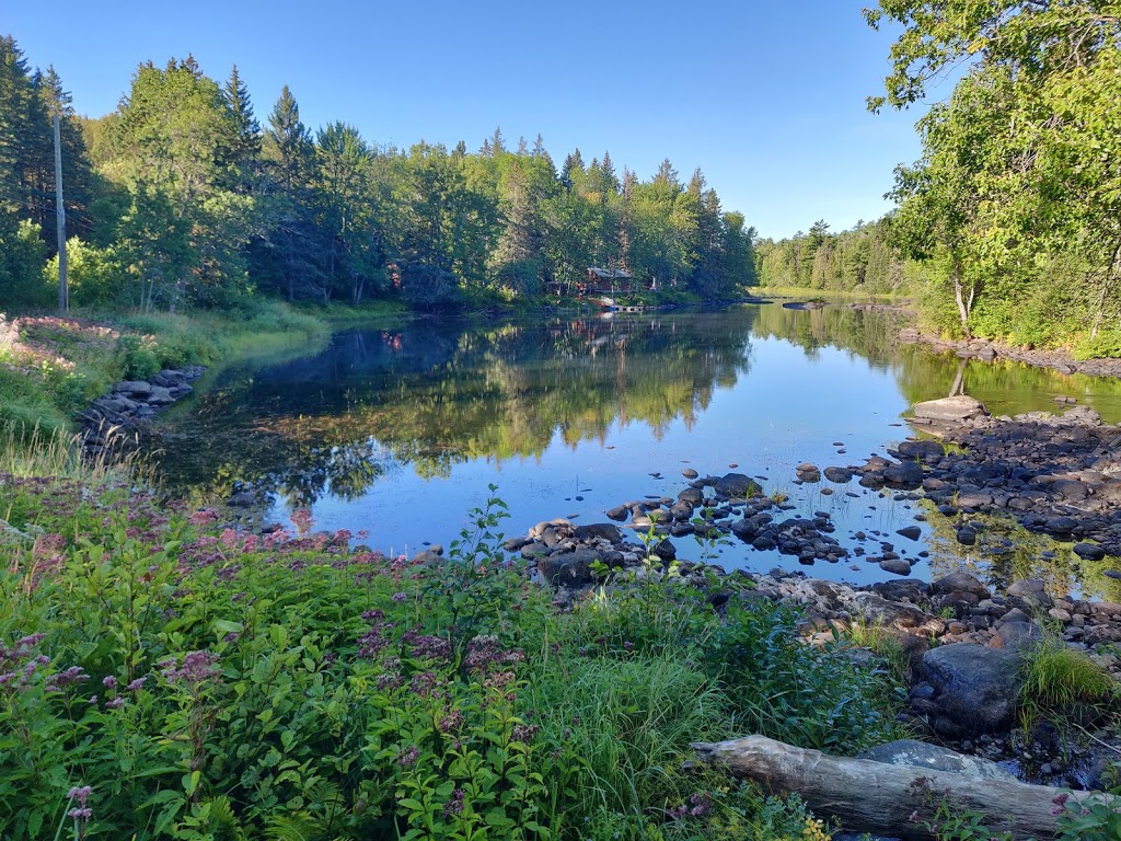 Silgrey - Cabins on the York River | 1011 Havergal Rd, Boulter, ON K0L 1G0, Canada | Phone: (613) 332-6359