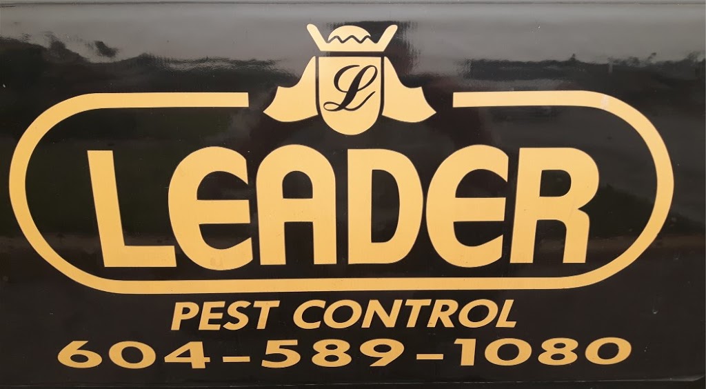 LEADER PEST AND WILDLIFE CONTROL | 11112 90 Ave, Delta, BC V4C 3G9, Canada | Phone: (604) 589-1080