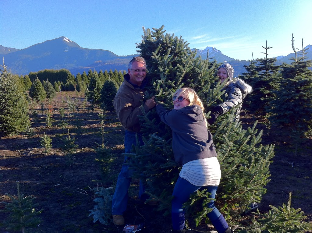 Pine Meadows Tree Farms Ltd. | 47036 Prairie Central Rd, Chilliwack, BC V2P 6H3, Canada | Phone: (604) 793-3090