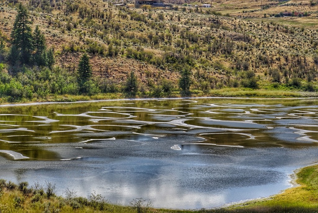 South Okanagan Grasslands Protected Area | Cawston, BC V0X 1C0, Canada | Phone: (800) 689-9025