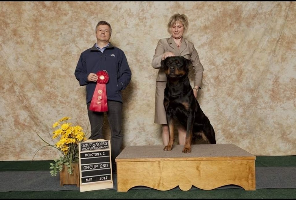 Libelle Rottweilers & Italian Greyhounds | OLeary Rd, OLeary, PE C0B 1V0, Canada | Phone: (250) 650-6471