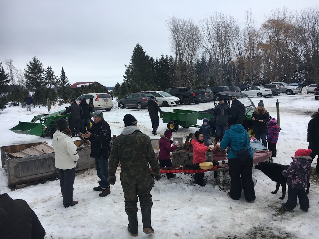 Les sapins de Noël.com autocueillette de sapin de noel | 2640 Mnt Bullock, Henryville, QC J0J 1E0, Canada | Phone: (514) 809-4442