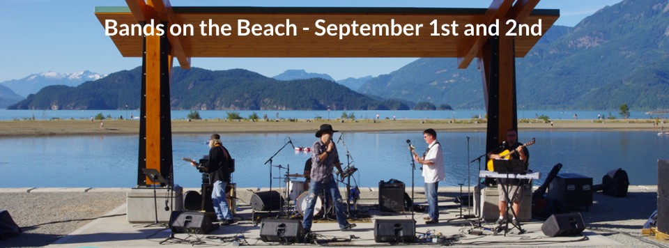 Tourism Harrison Hot Springs | 499 Hot Springs Rd, Harrison Hot Springs, BC V0M 1K0, Canada | Phone: (604) 796-5581