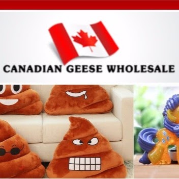 Canadian Geese Wholesale | 15 Hawkswood Trail, Hamilton, ON L9B 2P3, Canada | Phone: (905) 515-9779