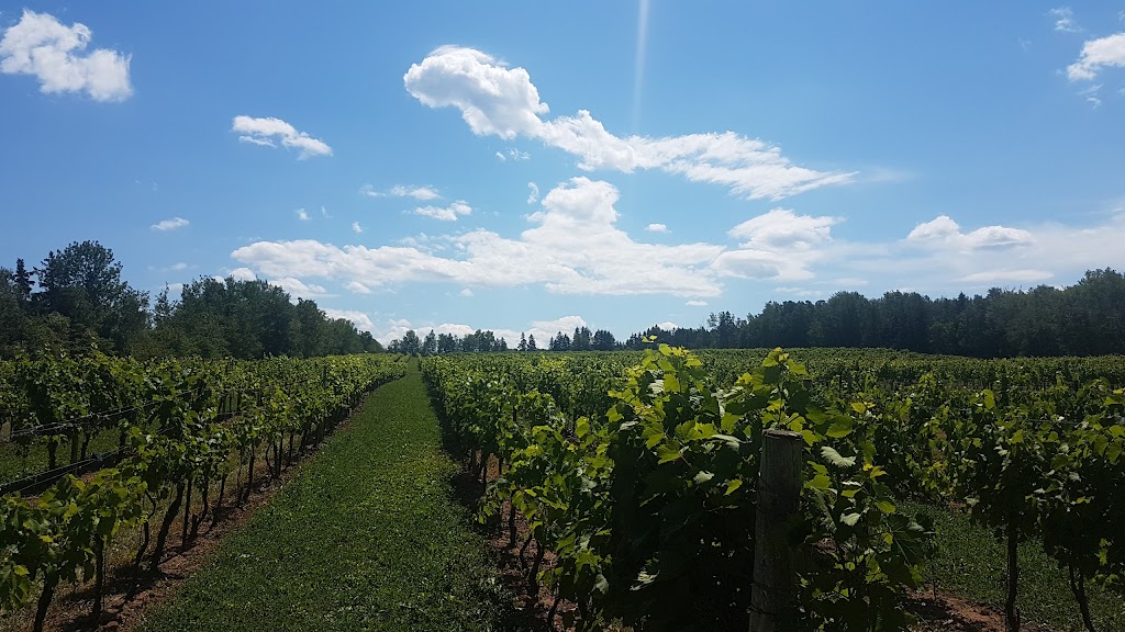 Jost Vineyards | 48 Vintage Ln, Malagash, NS B0K 1E0, Canada | Phone: (800) 565-4567