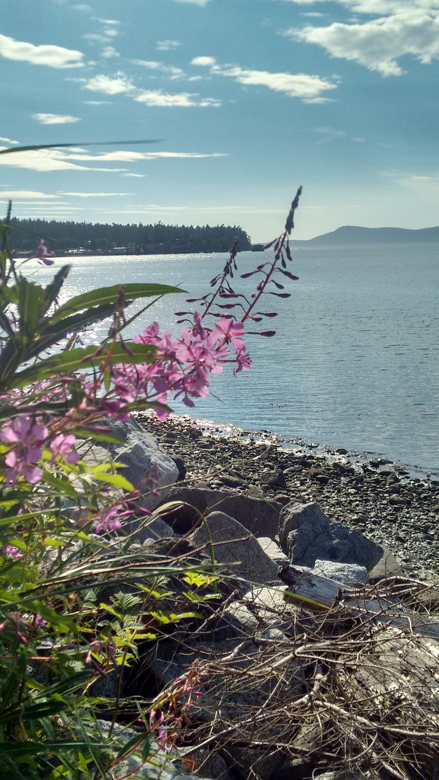 Guemes Channel Trail | Guemes Channel Trail, Anacortes, WA 98221, USA | Phone: (360) 293-1918