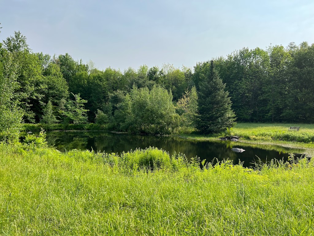 Capsule De Bonheur | 572 Chem. Perreault, Bromont, QC J2L 2X9, Canada | Phone: (450) 531-3638