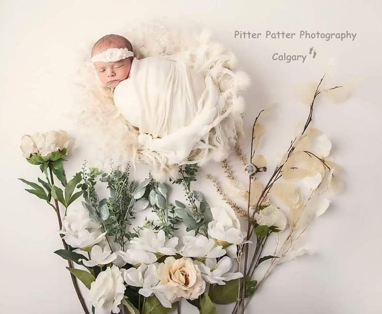 Pitter Patter Photography Calgary | #3107, Calgary, AB T2W 2X6, Canada | Phone: (403) 826-0294