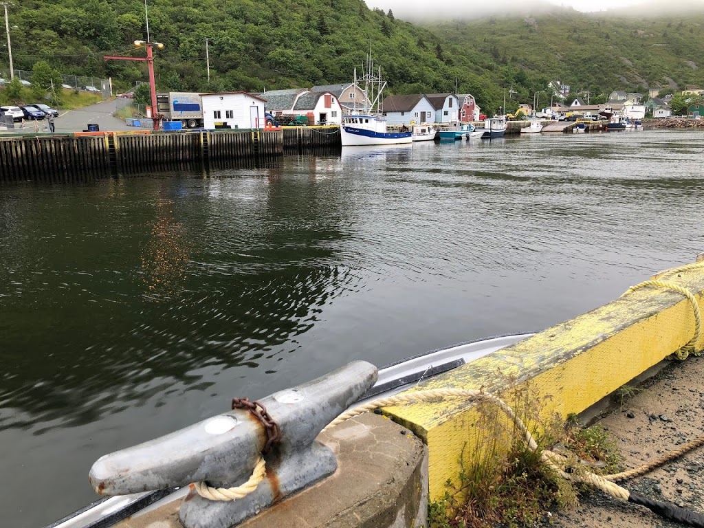 Bidgoods Cove | Petty Harbour-Maddox Cove, NL A1S 1L1, Canada