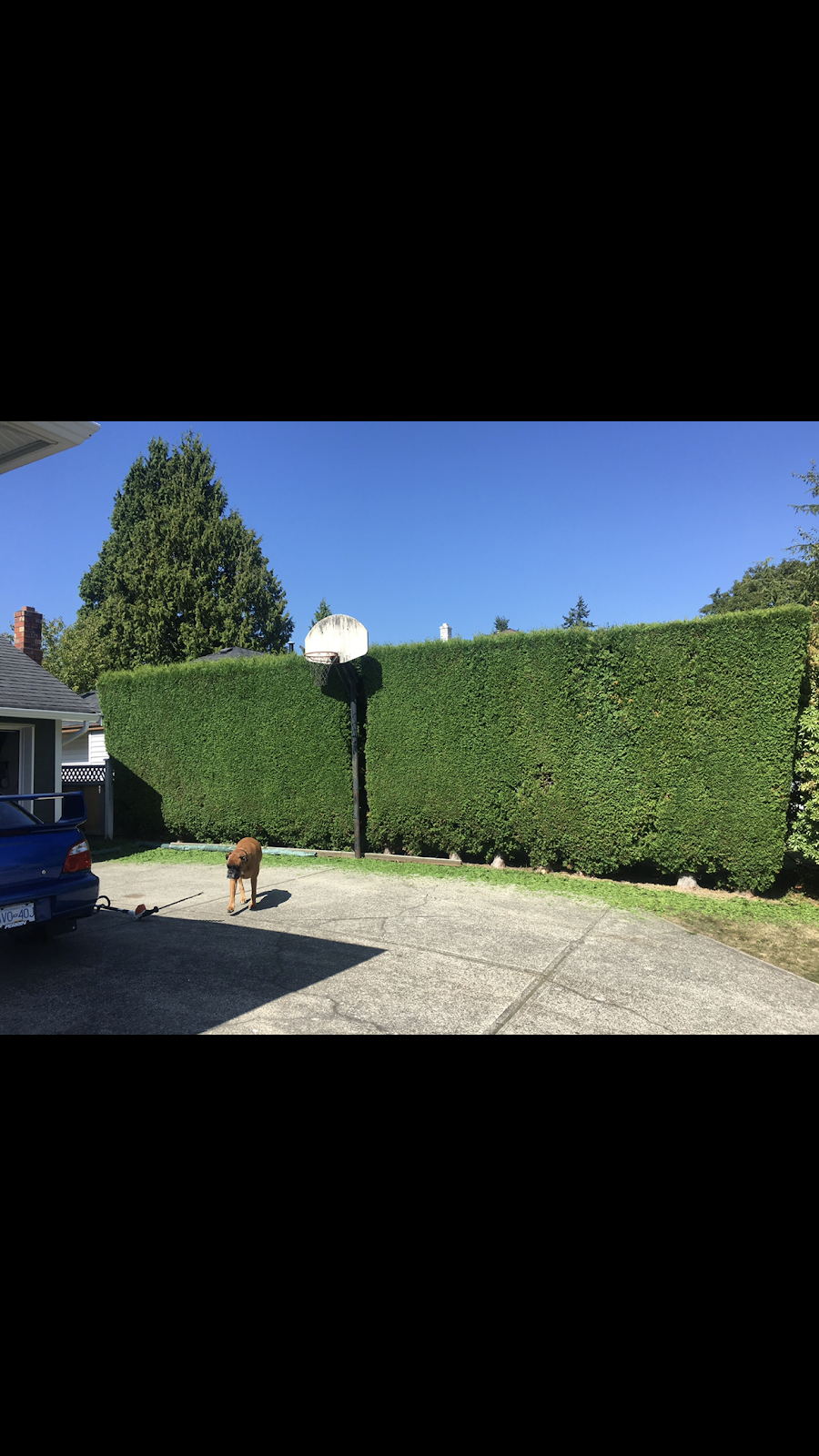 The Lawn Bros Landscaping | 1107 161 St, Surrey, BC V4A 7N2, Canada | Phone: (604) 442-6057