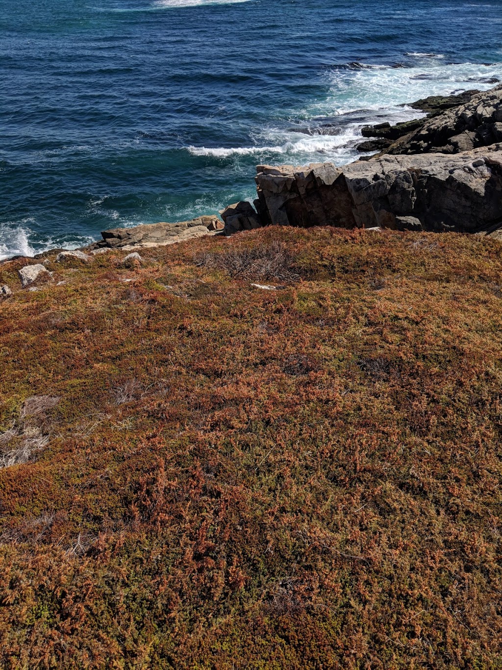 Duncans Cove Trail | Duncans Cove, NS B3V 1K4, Canada