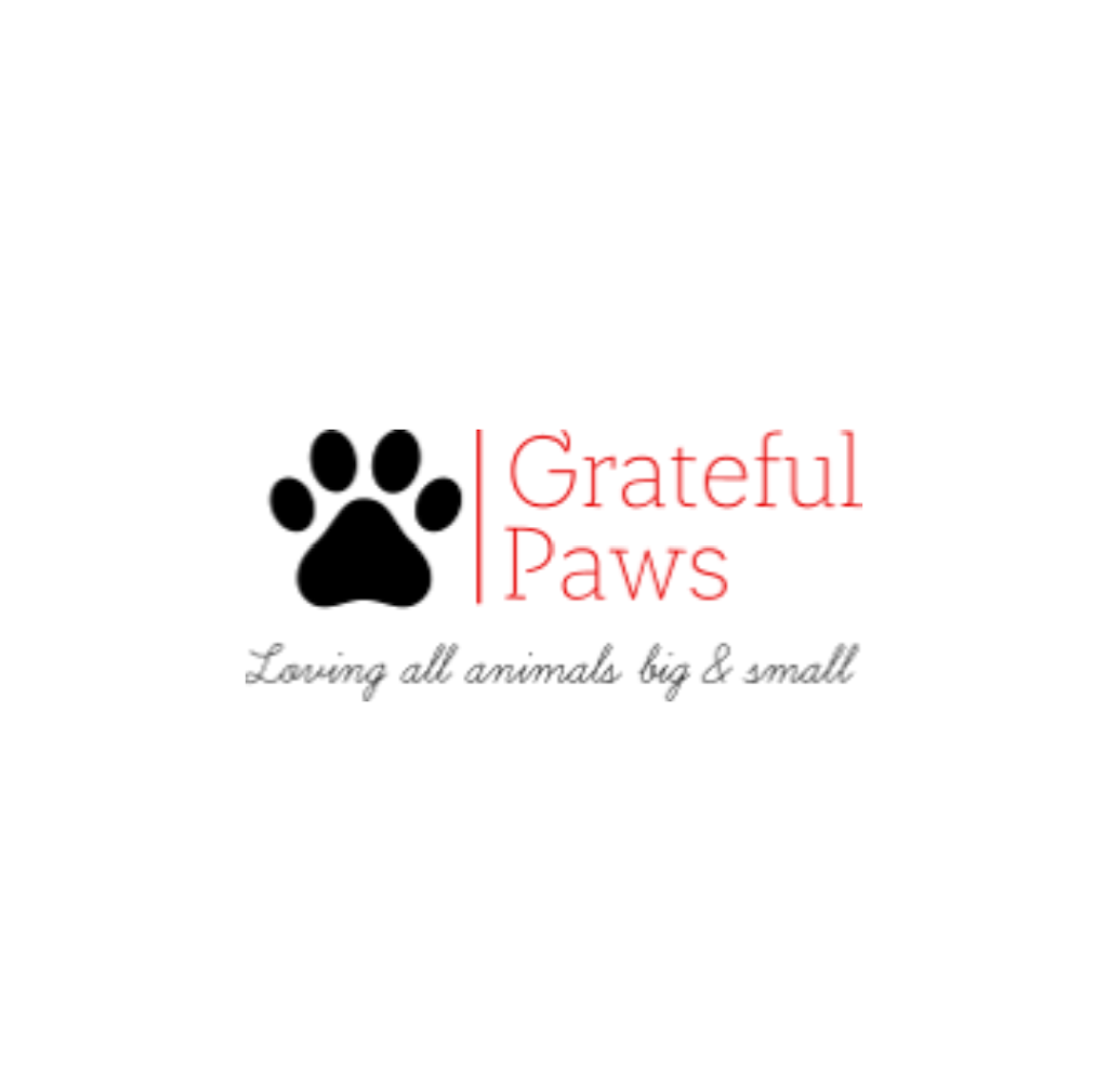 Grateful paws petsitting and dog walking | 240 Summit Dr #200, Caesarea, ON L0B 1E0, Canada | Phone: (905) 904-1166