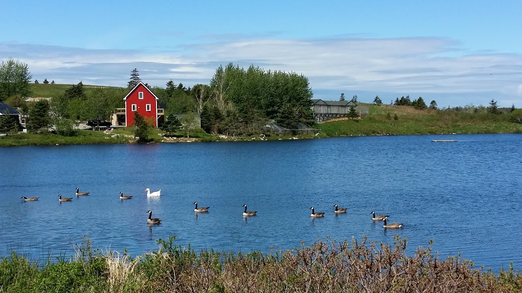 Hope For Wildlife | 5909 NS-207, Musquodoboit Harbour, NS B0J 2L0, Canada | Phone: (902) 407-9453