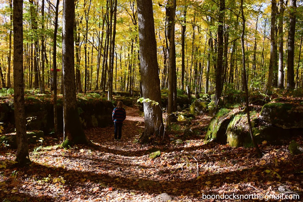 Viamede Disc Golf Course | 595 Mt Julian Viamede Rd, Woodview, ON K0L 3E0, Canada | Phone: (705) 654-3344