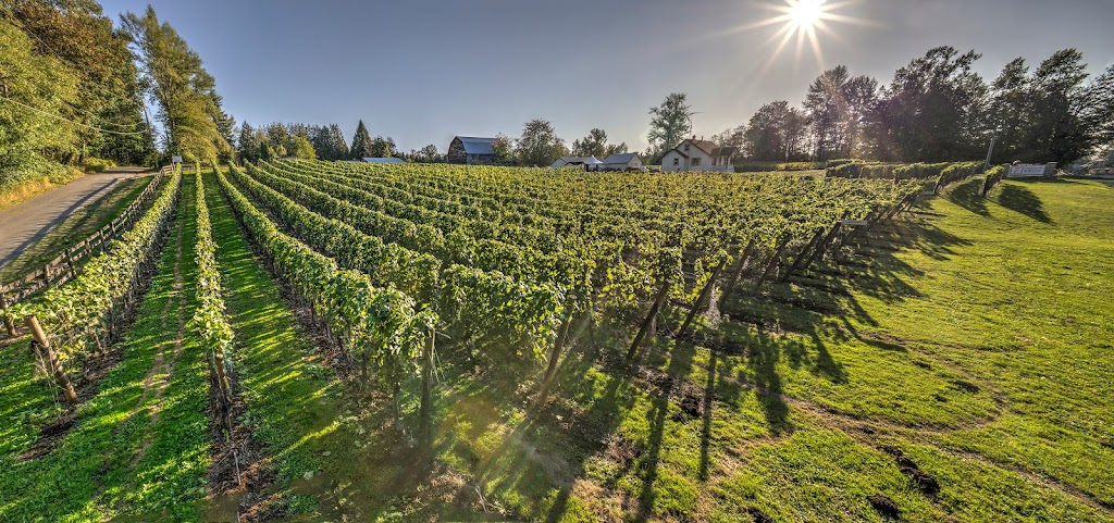 Township 7 Vineyards & Winery - South Langley | 21152 16 Ave, Langley Twp, BC V2Z 1K3, Canada | Phone: (604) 532-1766