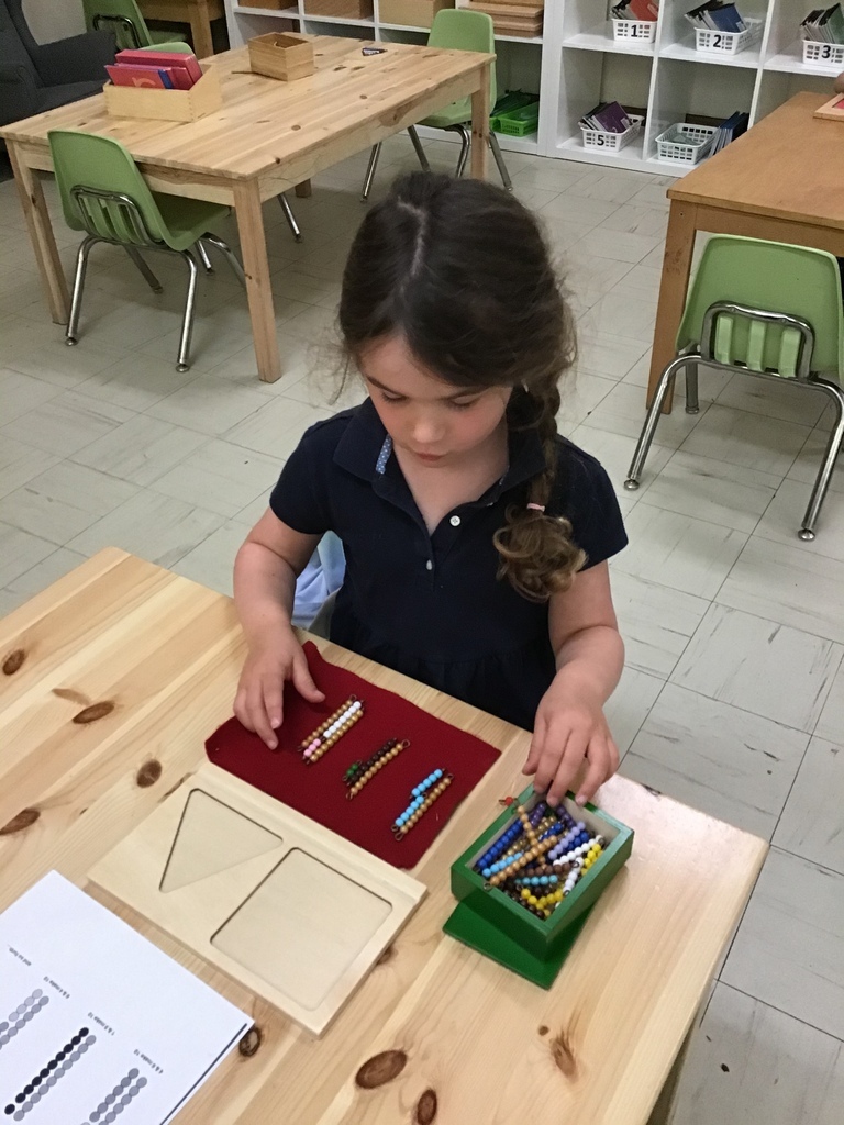 Tiny Treasure Montessori School And Day Care | 627 Burnhamthorpe Rd, Etobicoke, ON M9C 2Y9, Canada | Phone: (416) 622-6443