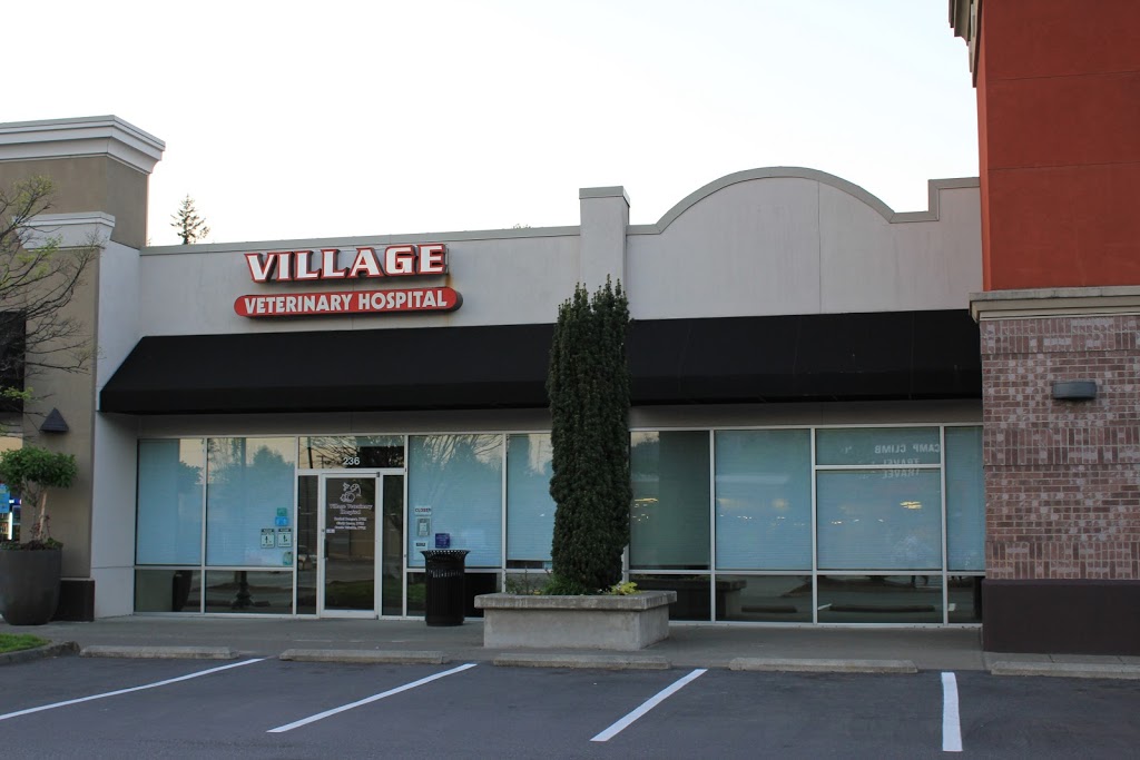 Village Veterinary Hospital | 236 36th St, Bellingham, WA 98225, USA | Phone: (360) 647-1980